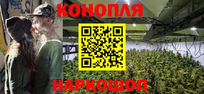 стаф Волгодонск