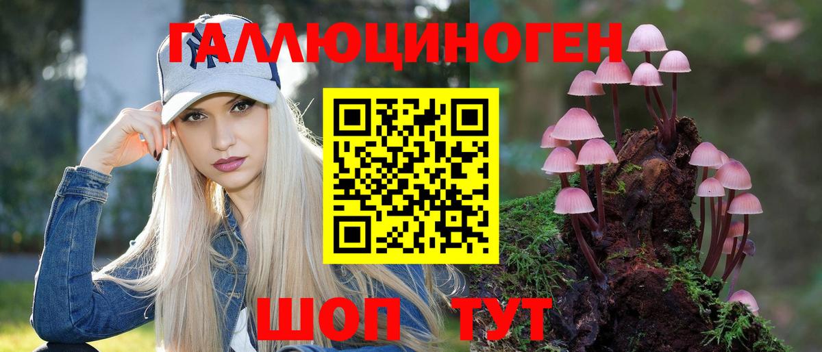 Новошахтинск  Галлюциногенные грибы GOLDEN TEACHER  Псилоцибиновые грибы GOLDEN TEACHER  Вход с VPN 