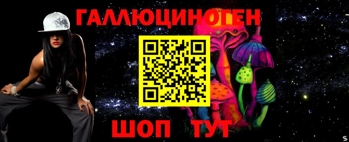 Галлюциногенные грибы Cubensis Новошахтинск